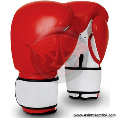 CUSTOM BOXING GLOVES[AA-BXG-02]