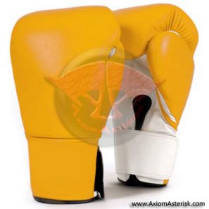CUSTOM BOXING GLOVES[AA-BXG-09]