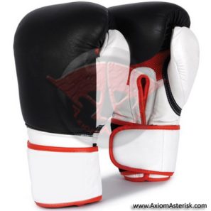CUSTOM BOXING GLOVES[AA-BXG-19]