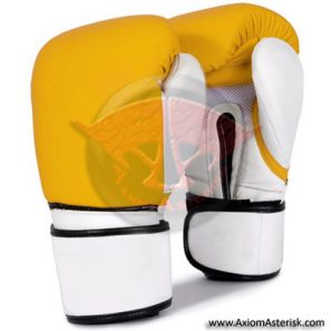 CUSTOM BOXING GLOVES[AA-BXG-20]