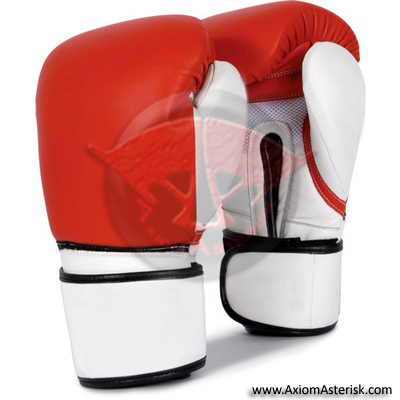 CUSTOM BOXING GLOVES[AA-BXG-22]