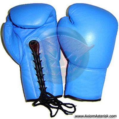 CUSTOM BOXING GLOVES[AA-BXG-40]