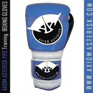 CUSTOM BOXING GLOVES [Pro-Train][AA-BXG-PT-02]