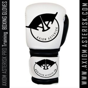 CUSTOM BOXING GLOVES [Pro-Train][AA-BXG-PT-03]