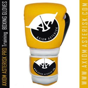 CUSTOM BOXING GLOVES [Pro-Train][AA-BXG-PT-05]