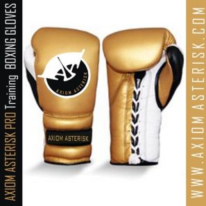 CUSTOM BOXING GLOVES [Pro-Train][AA-BXG-PT-06]