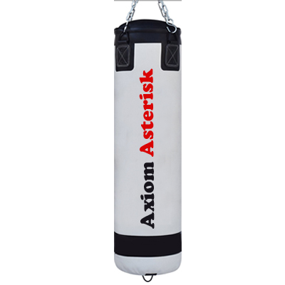 HEAVY PUNCHING BAG [AA-HPB-08]