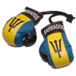 MINI BOXING GLOVES [Car Hanger] [AA-MBGC-04]