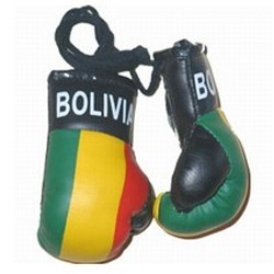 MINI BOXING GLOVES [Car Hanger] [AA-MBGC-05]