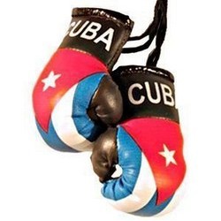 MINI BOXING GLOVES [Car Hanger] [AA-MBGC-06]