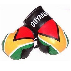 MINI BOXING GLOVES [Car Hanger] [AA-MBGC-08]