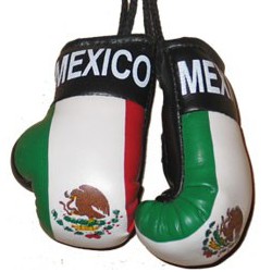 MINI BOXING GLOVES [Car Hanger] [AA-MBGC-09]