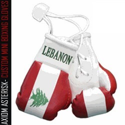 MINI BOXING GLOVES [Car Hanger] [AA-MBGC-17]