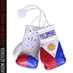 MINI BOXING GLOVES [Car Hanger] [AA-MBGC-19]