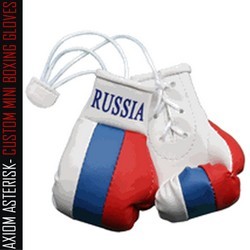 MINI BOXING GLOVES [Car Hanger] [AA-MBGC-20]