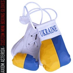 MINI BOXING GLOVES [Car Hanger] [AA-MBGC-22]
