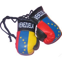 MINI BOXING GLOVES [Car Hanger] [AA-MBGC-24]
