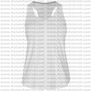 TANK TOP RACERBACK [FEMALE] [AA-TTRBF-03]